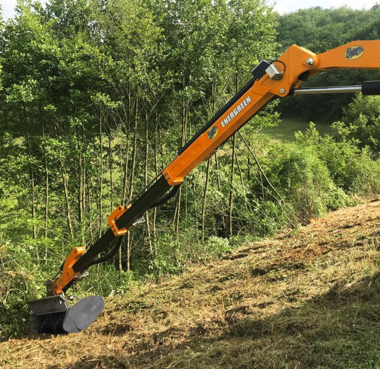 FORESTRY_HEAD_04