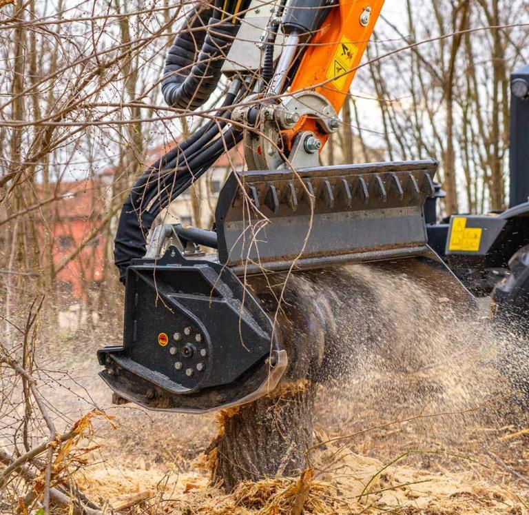 FORESTRY_HEAD_05