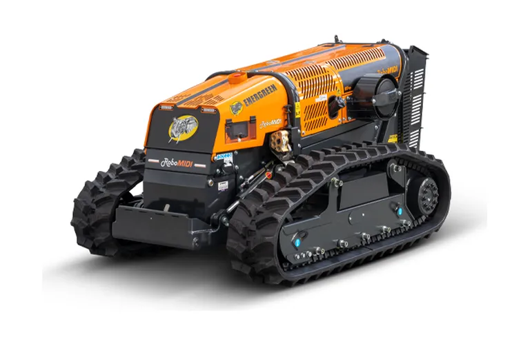 Robo (Control Remoto)